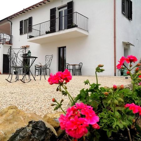 Agriturismo Podere Verdicchio Scansano Exterior photo