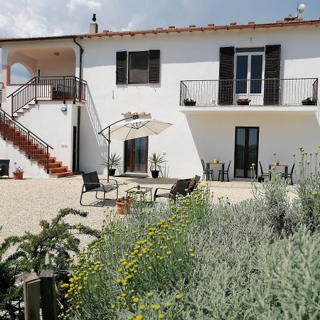 Agriturismo Podere Verdicchio Scansano Exterior photo