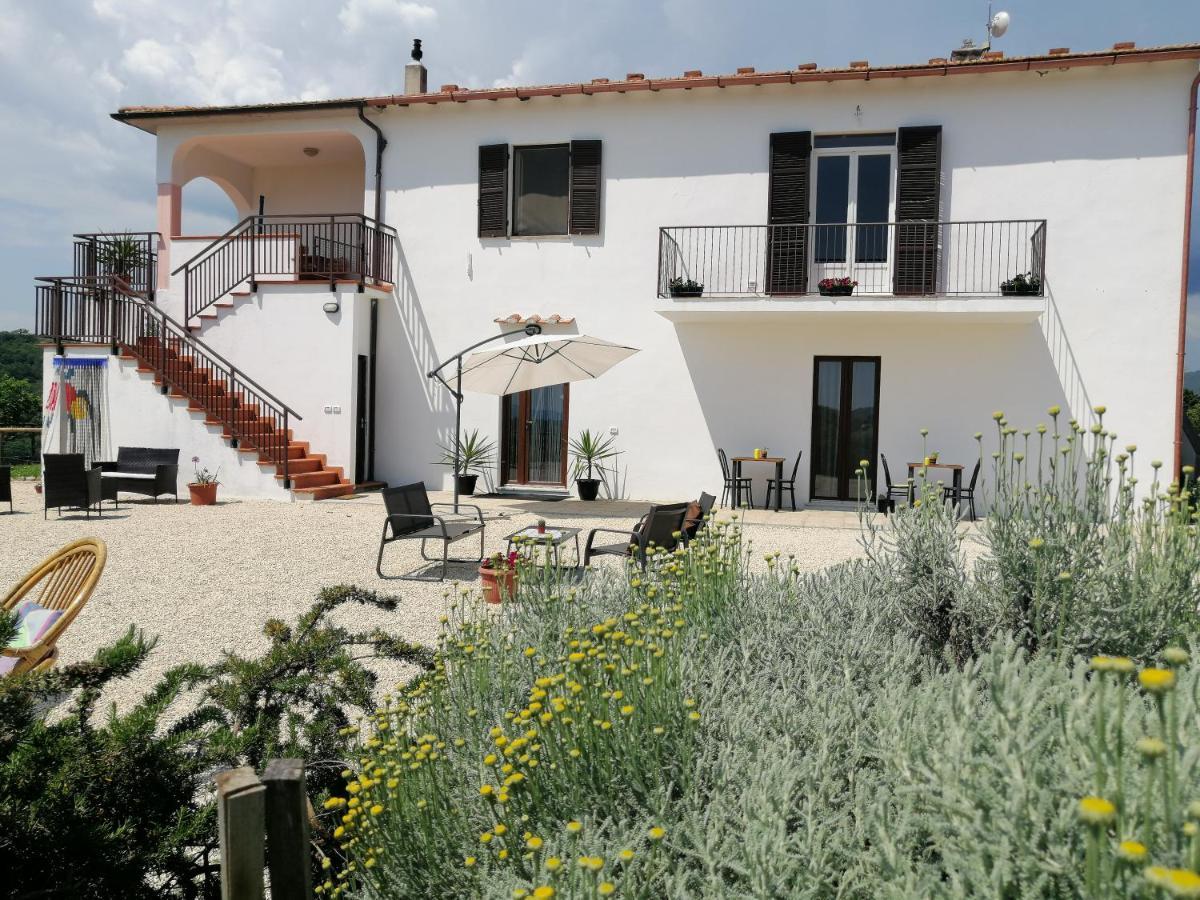 Agriturismo Podere Verdicchio Scansano Exterior photo